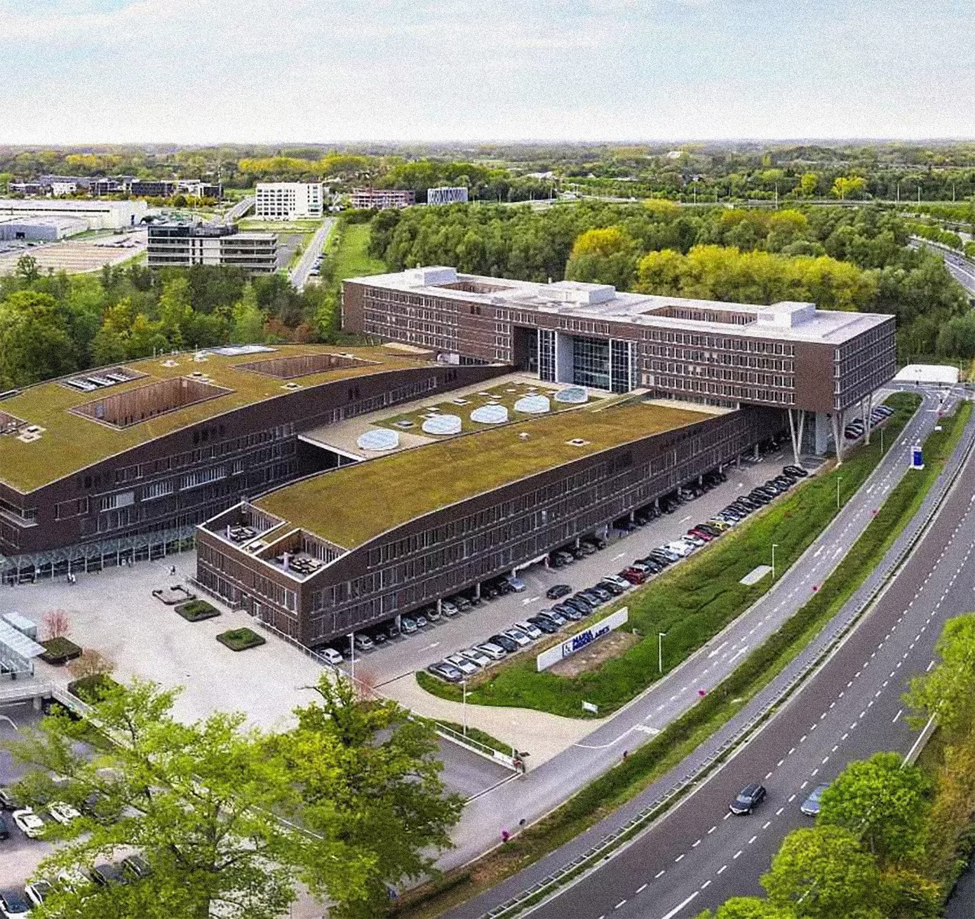 Flat Green Roof building