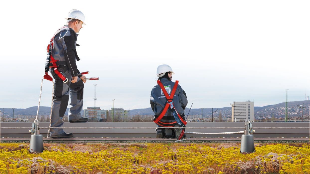 Green Roof Systems – Project Enquiry — additional product view.