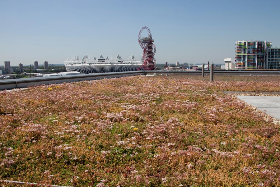 Green Roof Systems – Project Enquiry — main product view.
